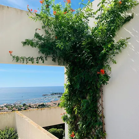 公寓 T2 Vue Exceptionnelle Avec Grande Terrasse Plein Sud Wifi Piscine 邦多勒